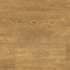 Karndean Van Gogh English Character Oak