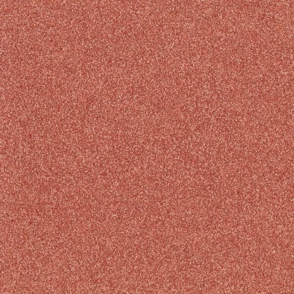 Altro Pisces Starfish SB2010