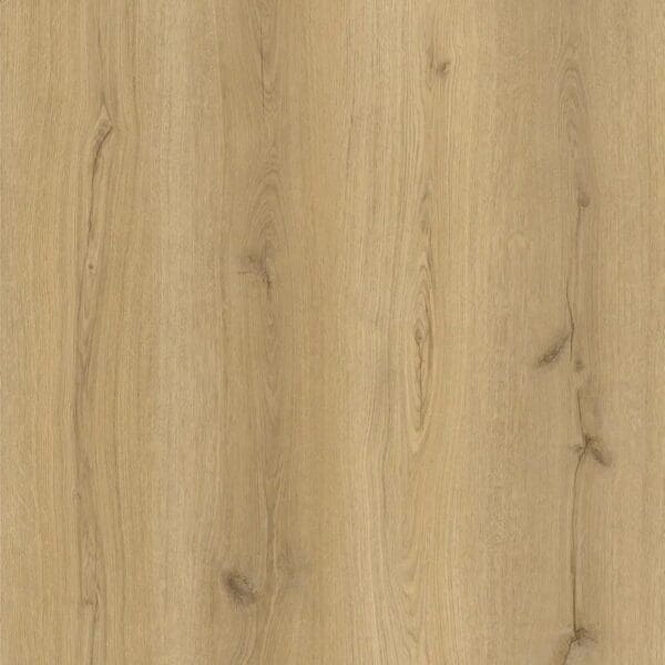 Close up of alva elm oak parquet plank showing wood grain detail