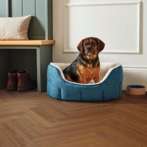 Bologna oak herringbone flooring in living room with blue dog bed