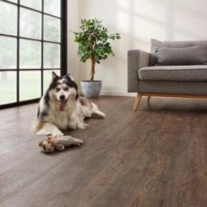 COREtec Essentials 1500 Series Jasper Oak 01 flooring - room shot showing texture and color