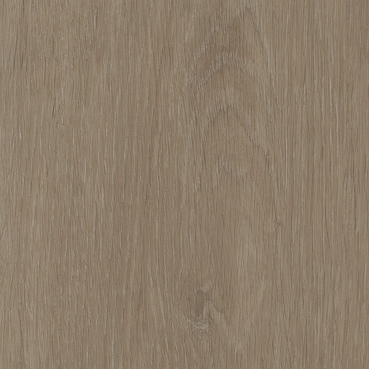 Invictus Maximus Elegant Oak Tan flooring - main product shot showing texture and color