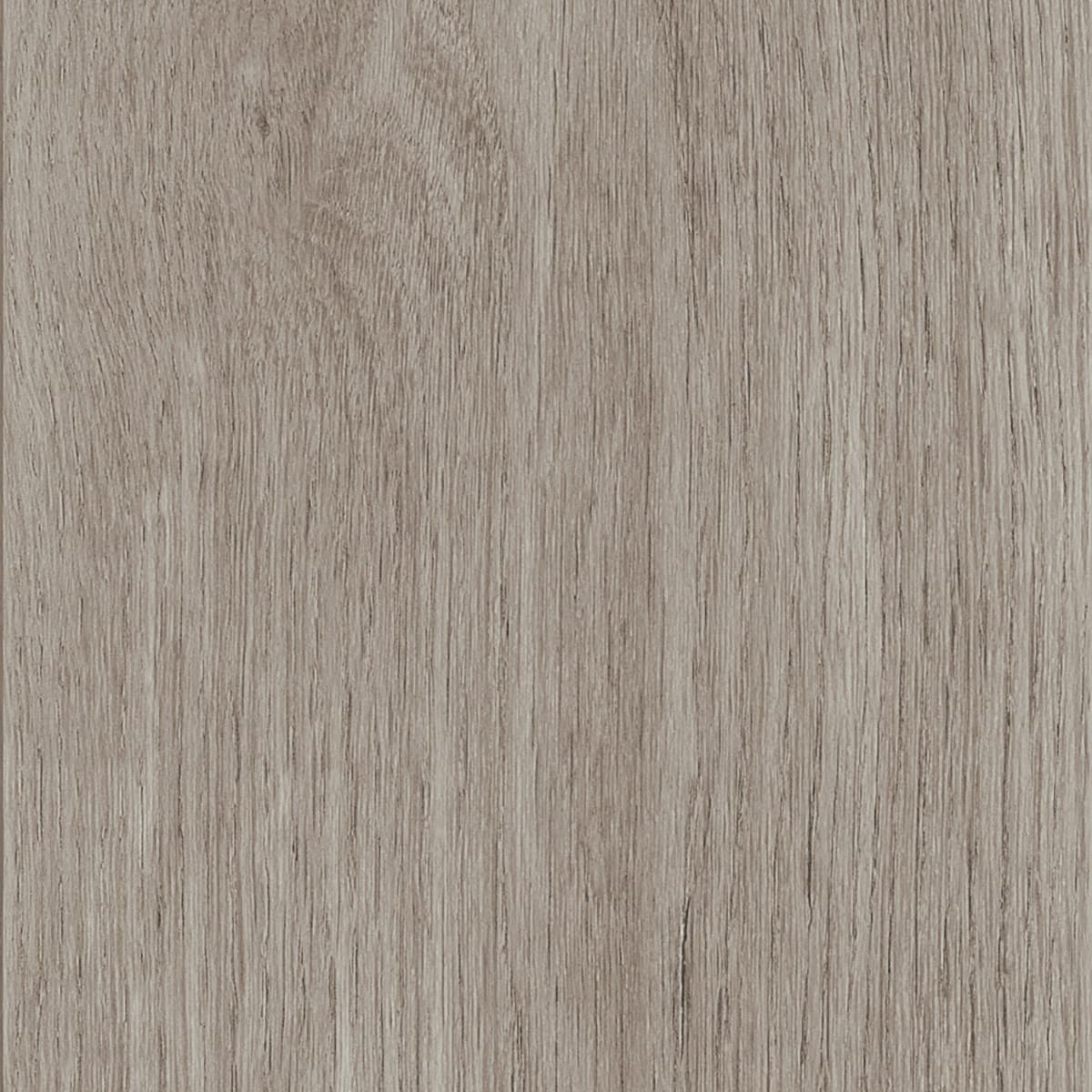 Invictus Maximus New England Oak Misty flooring - main product shot showing texture and color