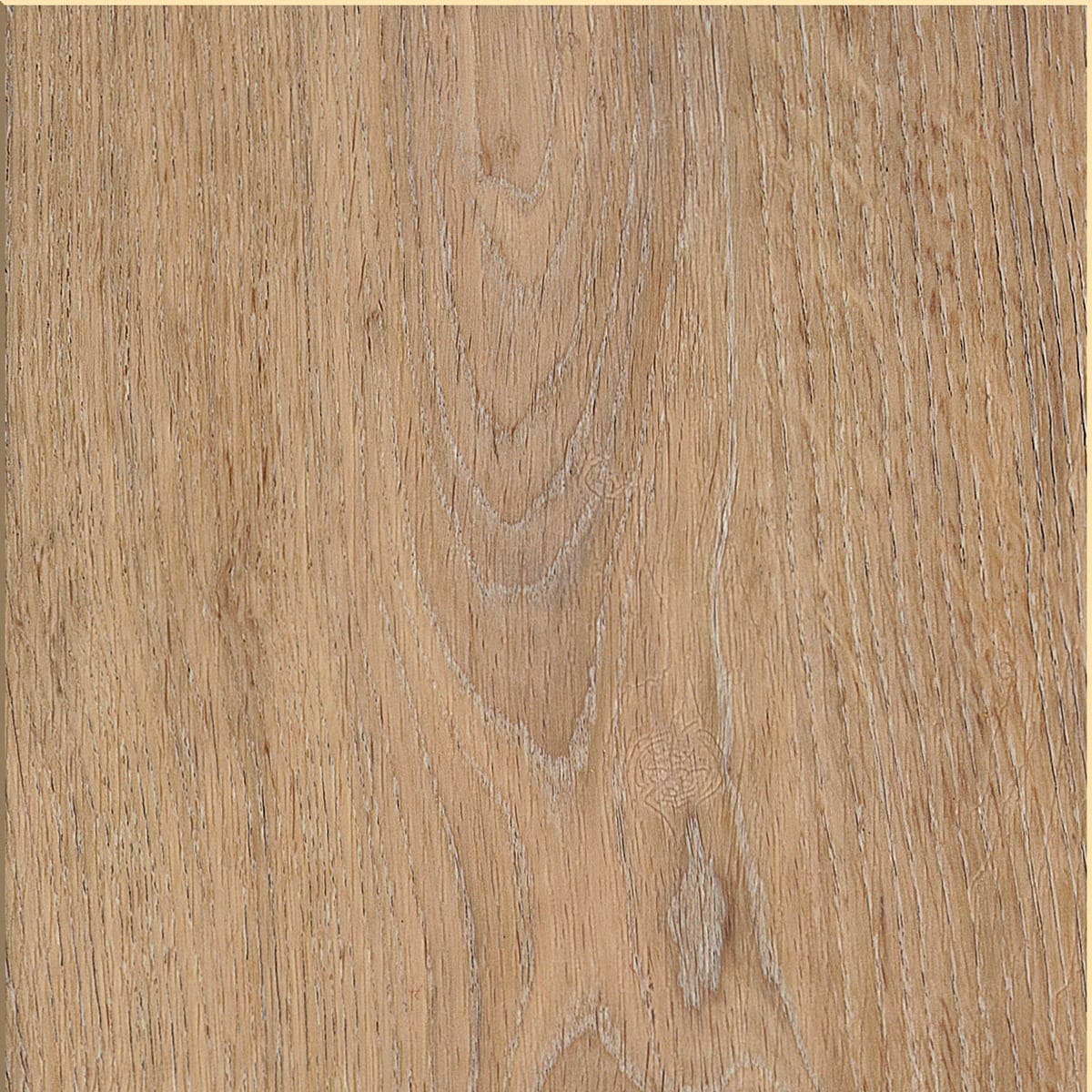 Invictus Maximus Silk Oak Oat flooring - main product shot showing texture and color