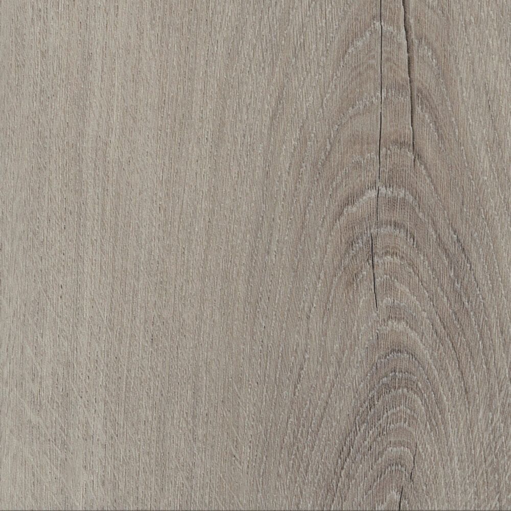 Invictus Primus Royal Oak Dove flooring - detail view showing texture and color