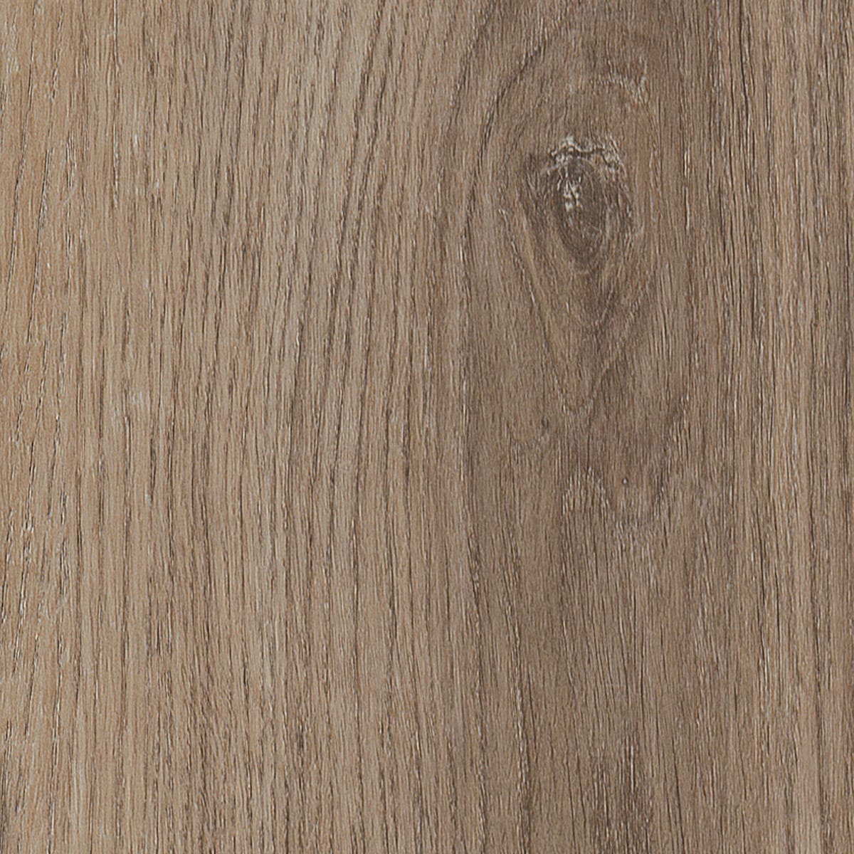 Invictus Primus Sherwood Oak Mink flooring - main product shot showing texture and color