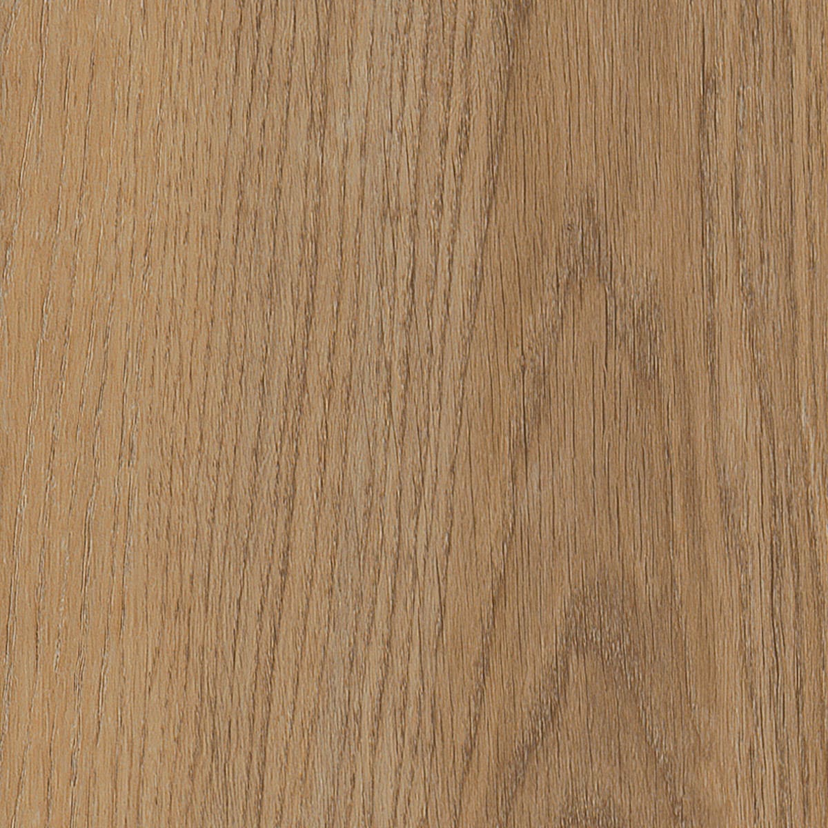 Invictus Primus Sherwood Oak Natural flooring - main product shot showing texture and color