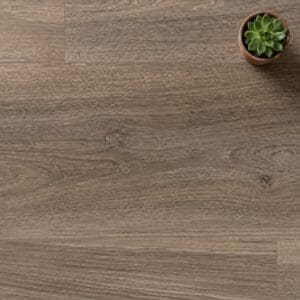 Thyme Oak luxury vinyl flooring close-up texture - photorealistic room shot