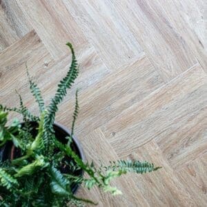 Overhead view of limed oak parquet flooring in a herringbone layout with a potted fern
