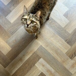 Close up of the wood grain texture on Harvey Maria Rye Parquet luxury vinyl tile