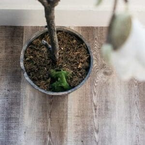 Close up of Harvey Maria Weathered Plank wood effect flooring showing vertical grain and grey tones